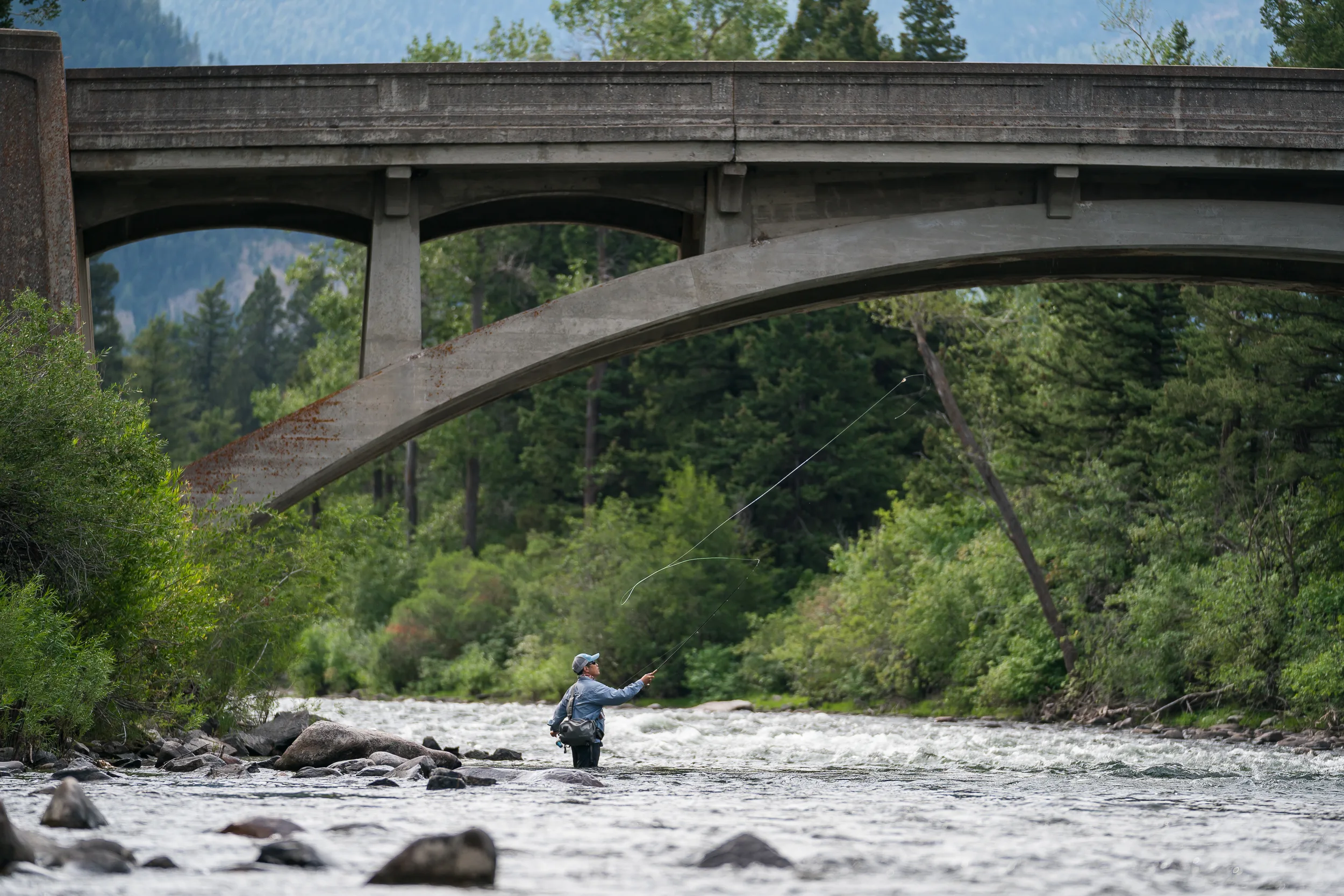 Angler casting fly line under a bridge